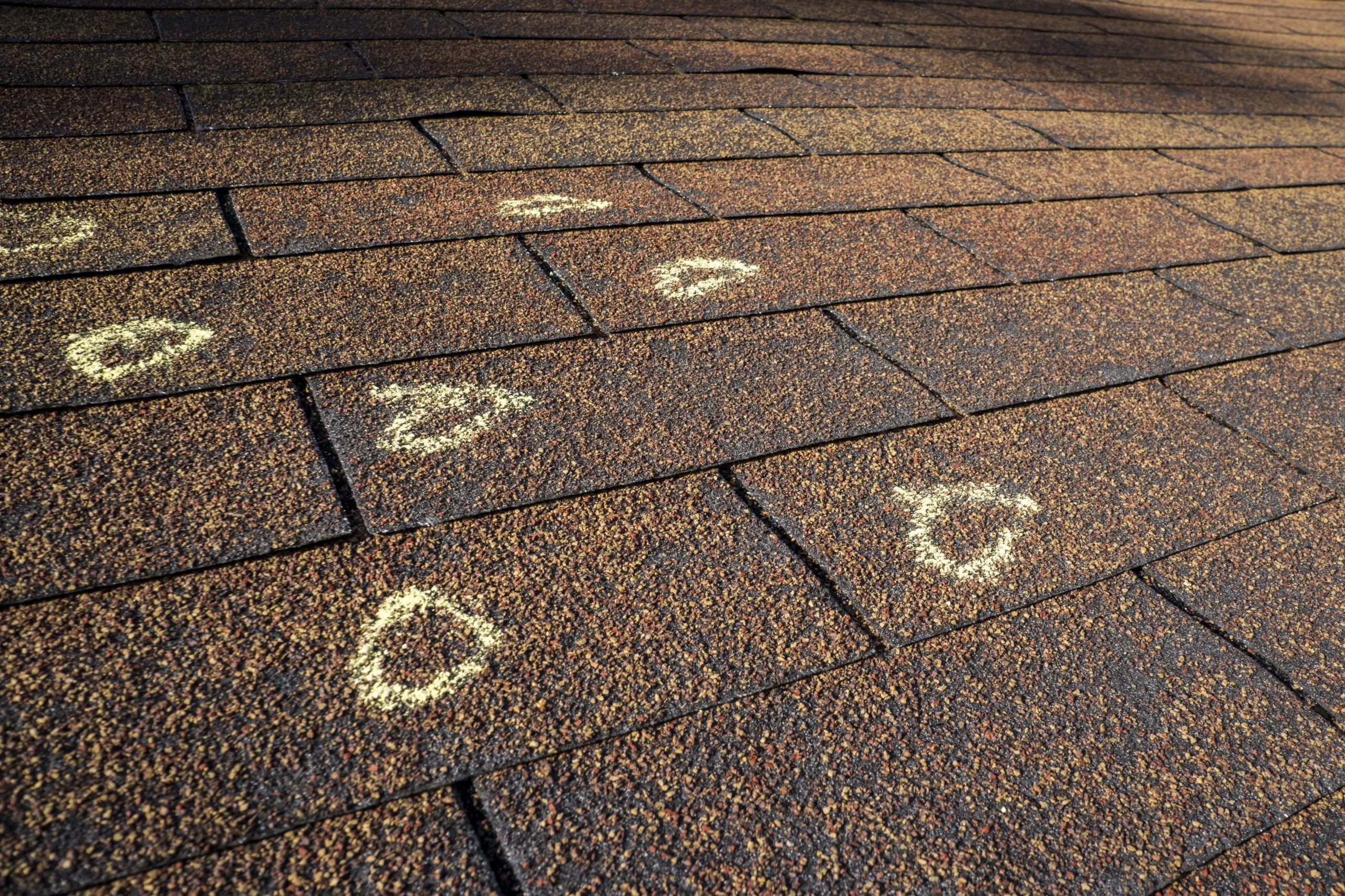 Roof Inspection Services